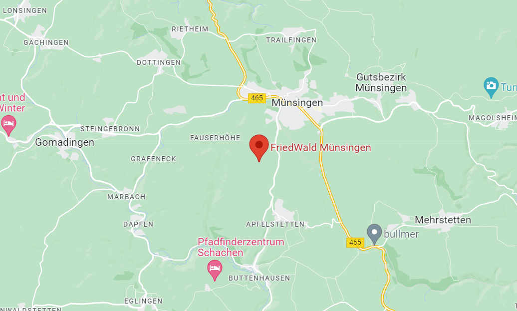 münsingen.PNG